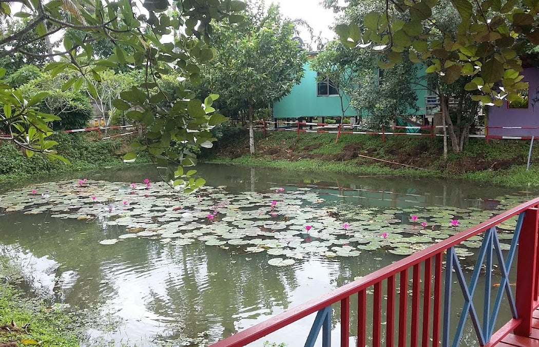 โรงเรียนชุมชนวัดหนองจวง 1