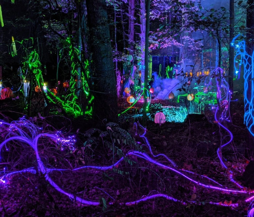 Glenlore Trails: Face Paint & Fun 1