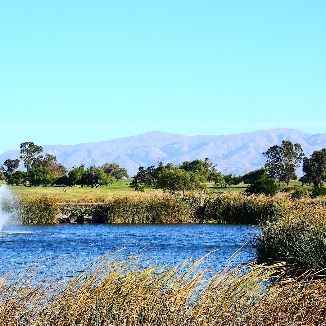 Permanente Creek Trail 1
