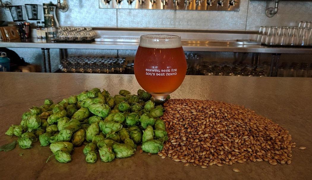 Happy Basset Brewing Co 2