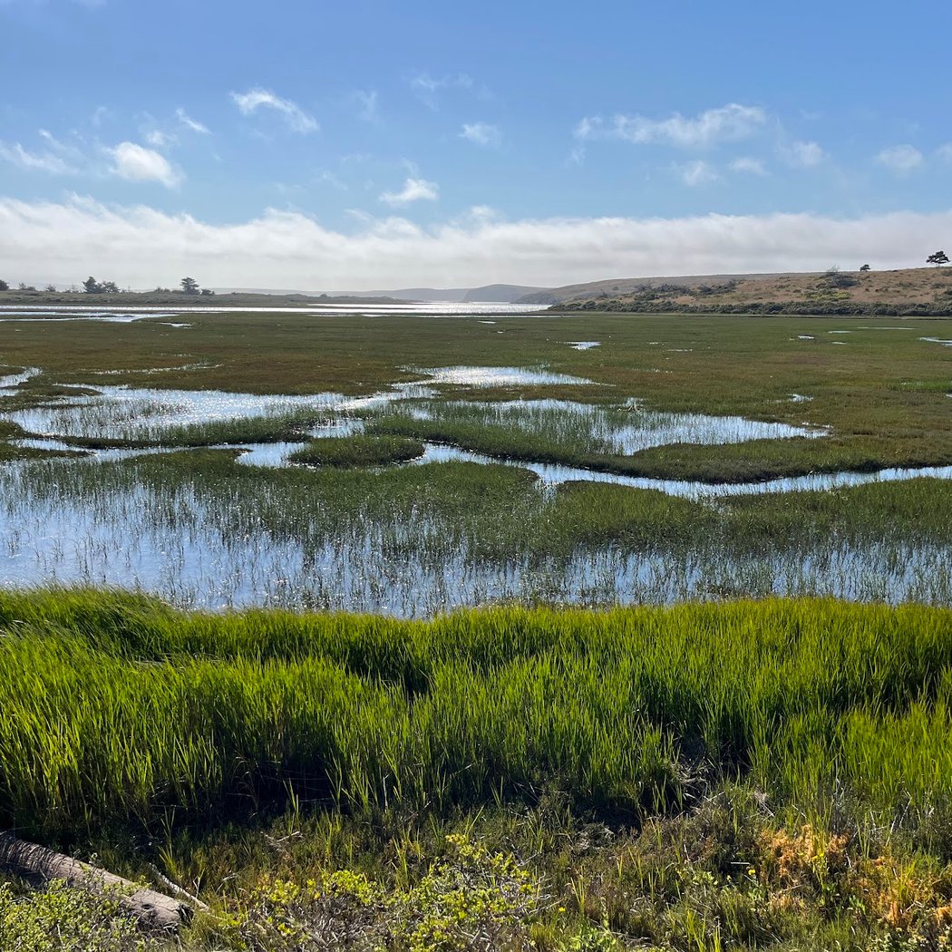 Drakes Estero 2
