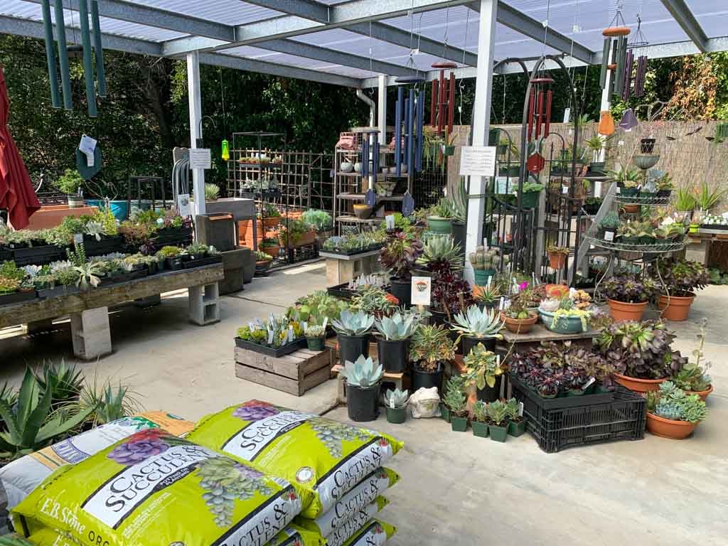 McDonnell Nursery 1