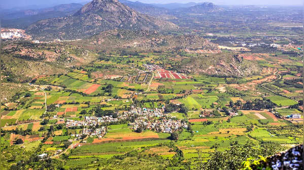 Nandi Hills 3