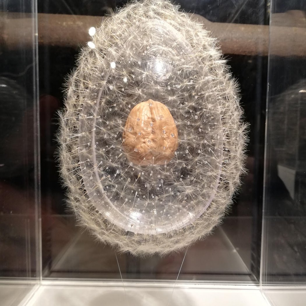 De Rerum Naturae 1