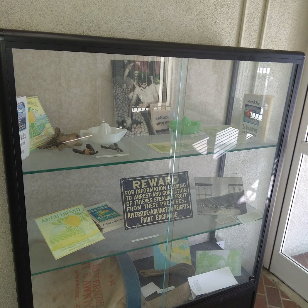 Propagation Station: Plant Swap 4