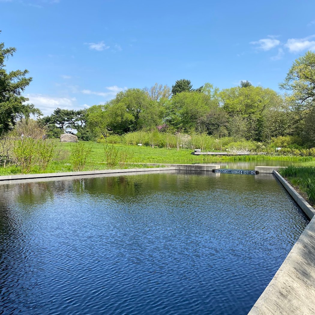 Native Plant Garden, NYBG 3