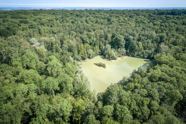 Forêt Domaniale de Carnelle 1