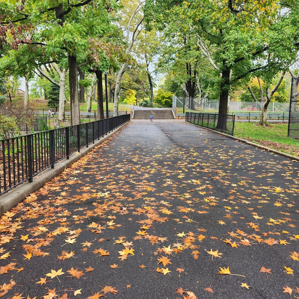Lincoln Terrace / Arthur S. Somers Park 3