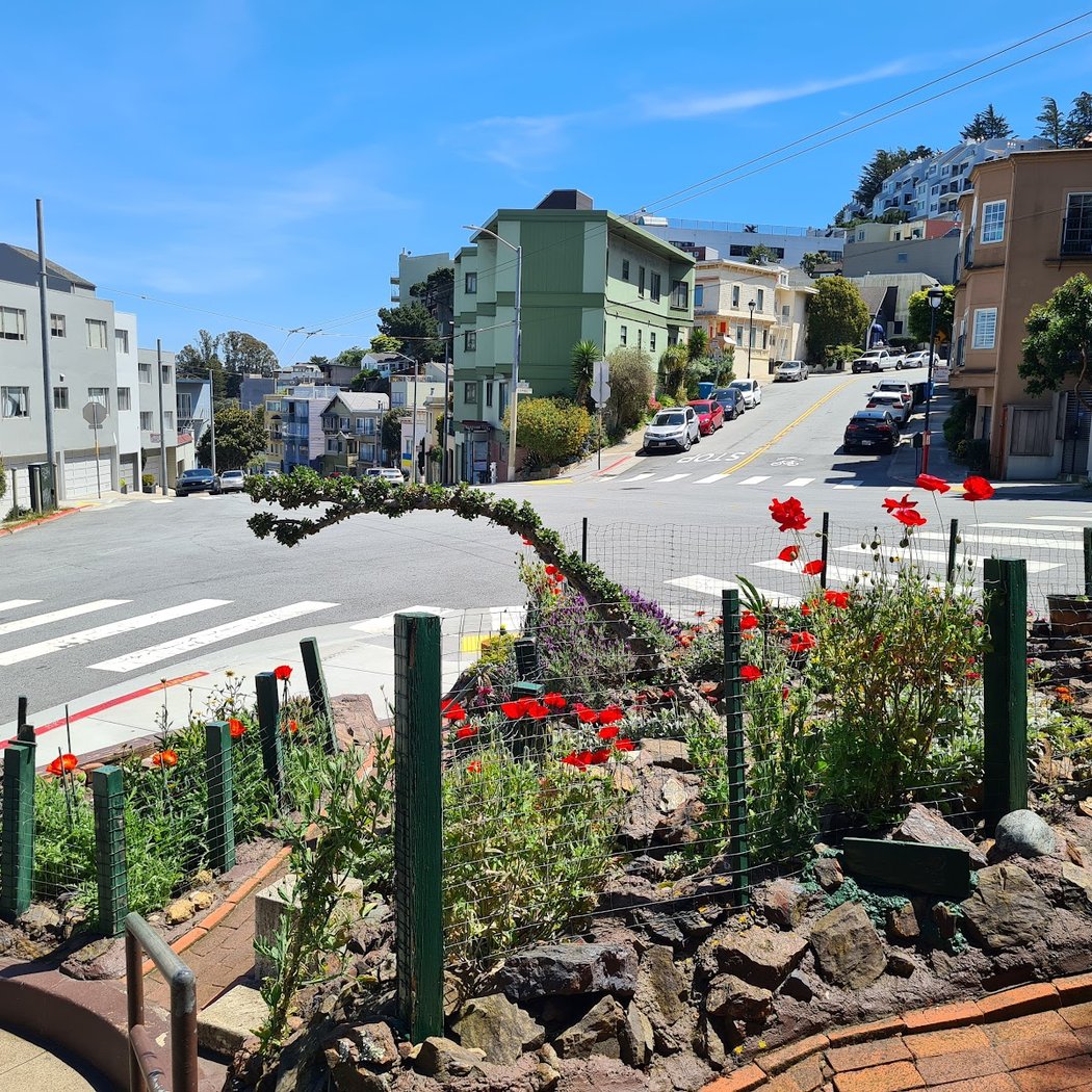 The Neighborhood Garden 1