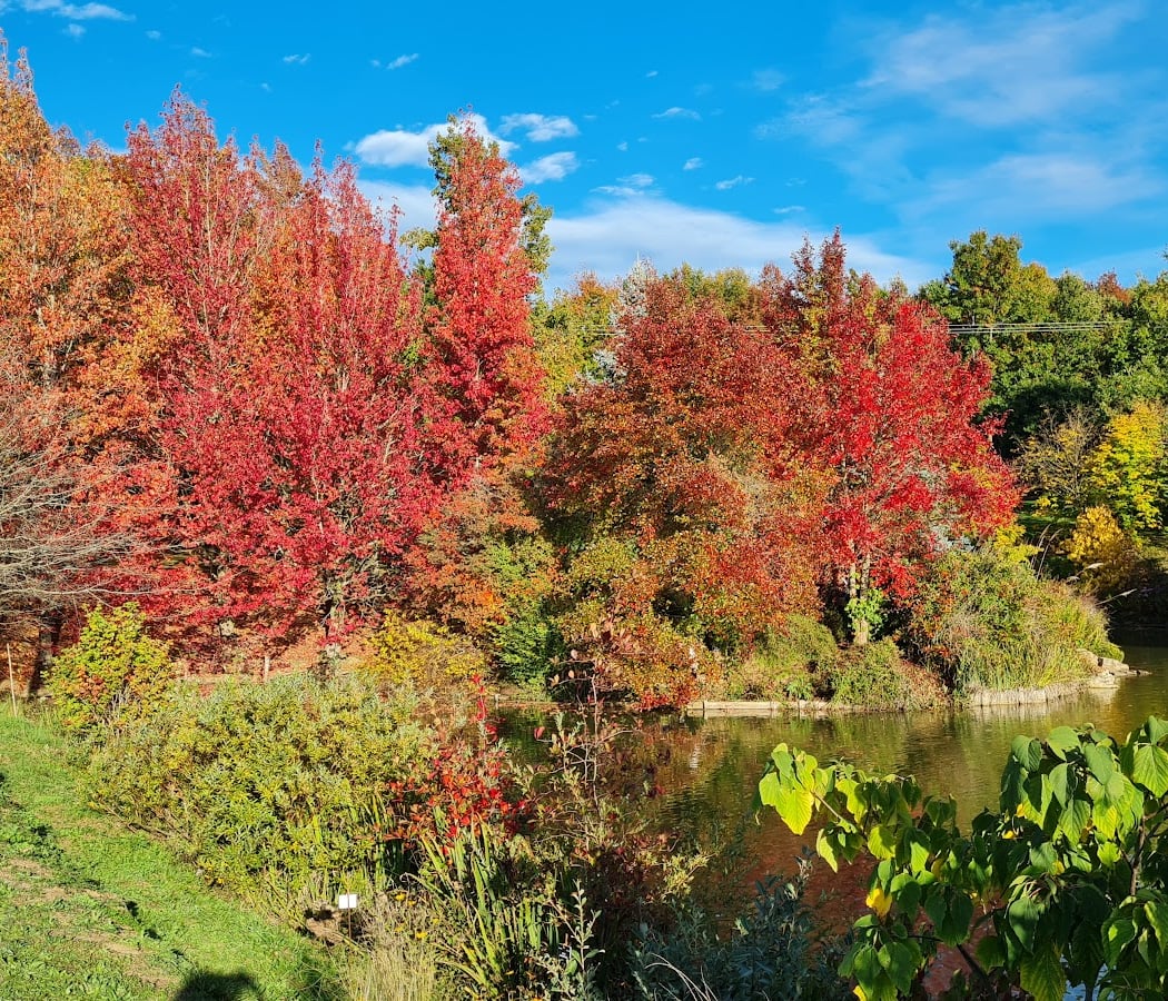 LE JARDIN DU BOIS MARQUIS 1