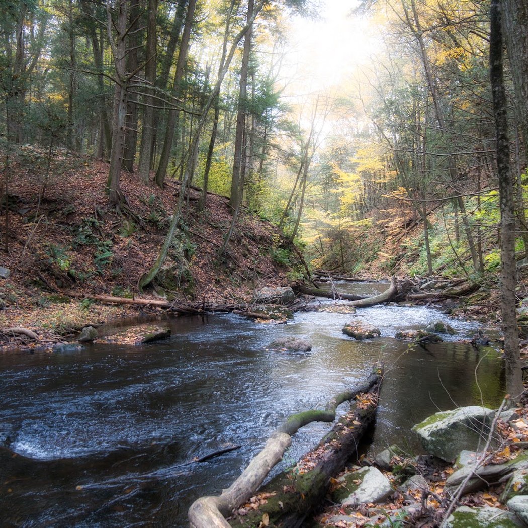 Mianus River Gorge Preserve 1