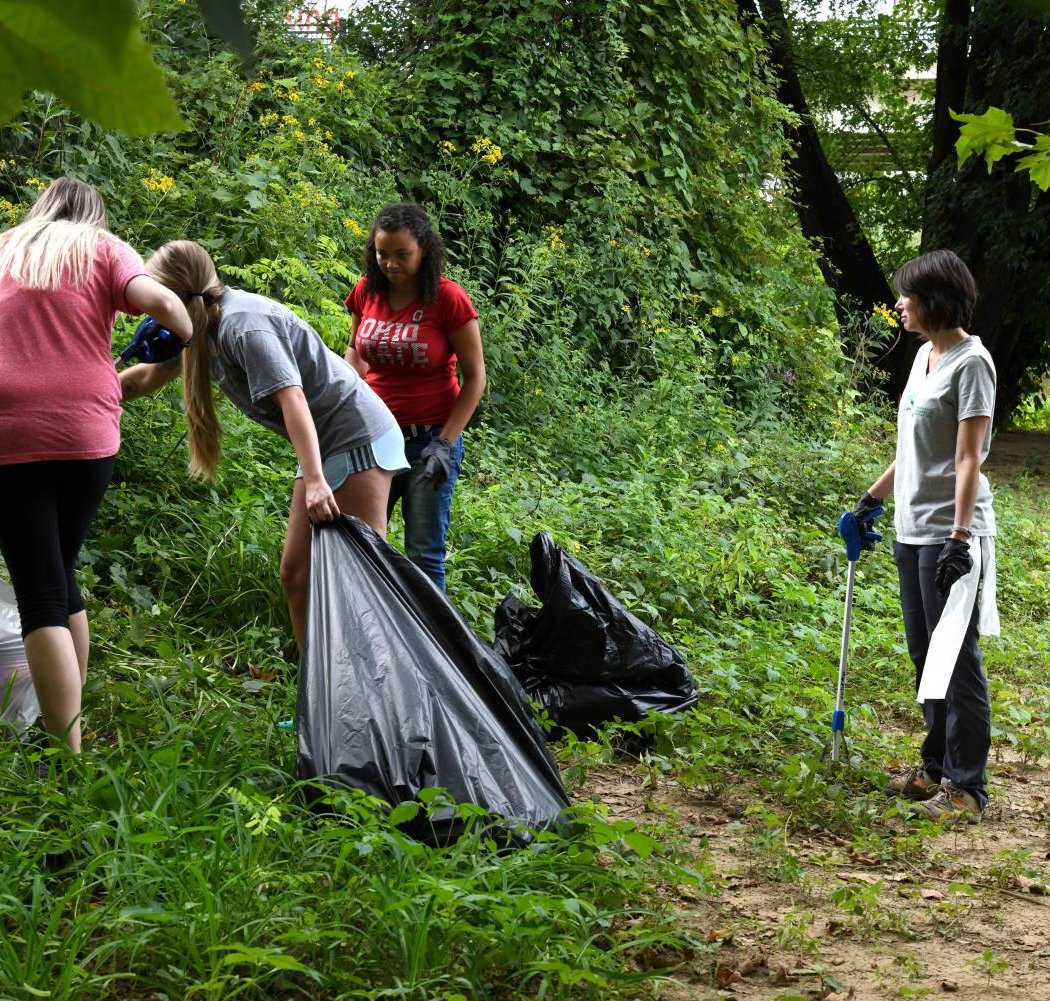 Weekly Clean: Quickstad Park 4