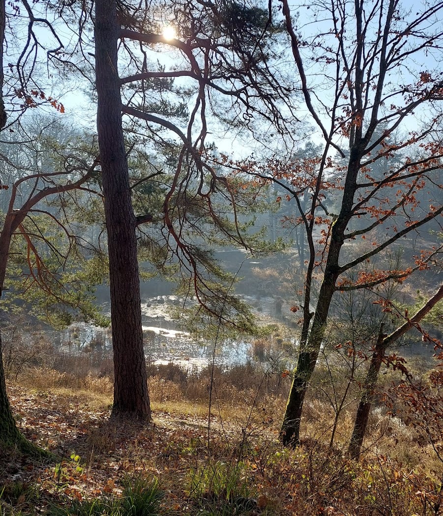 Étang du Coupe-Gorge 2