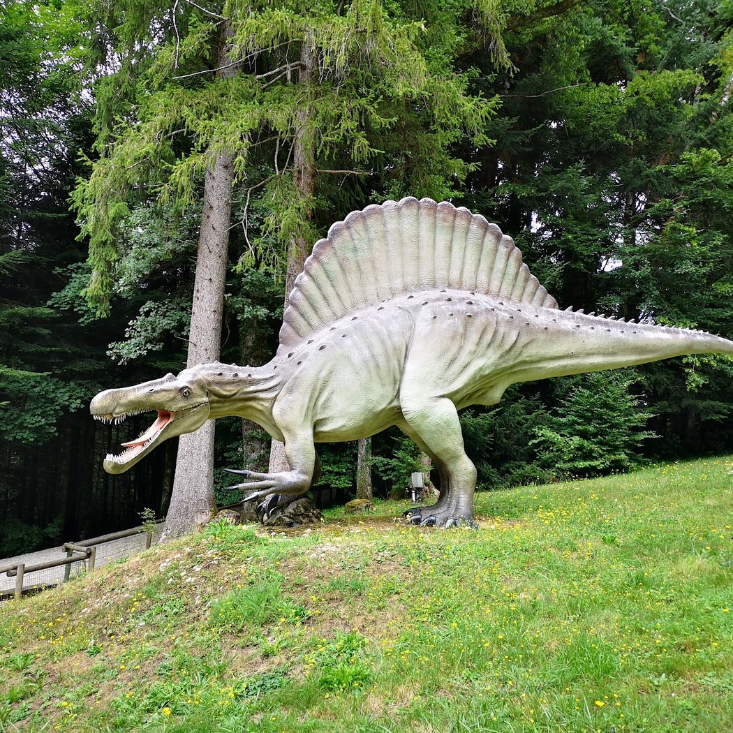 Parc Dino-zoo 3
