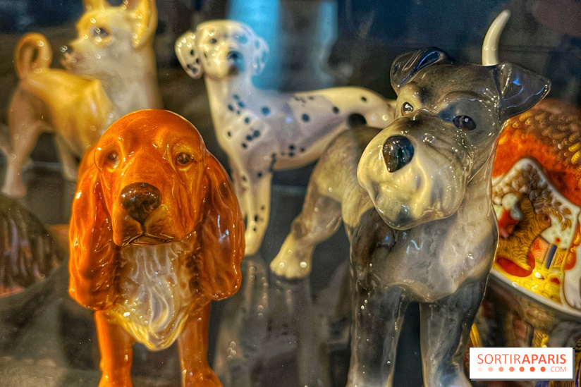 Dog Museum 1