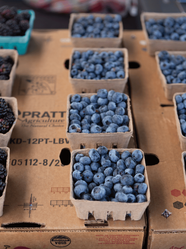 San Ramon Farmers Market 1