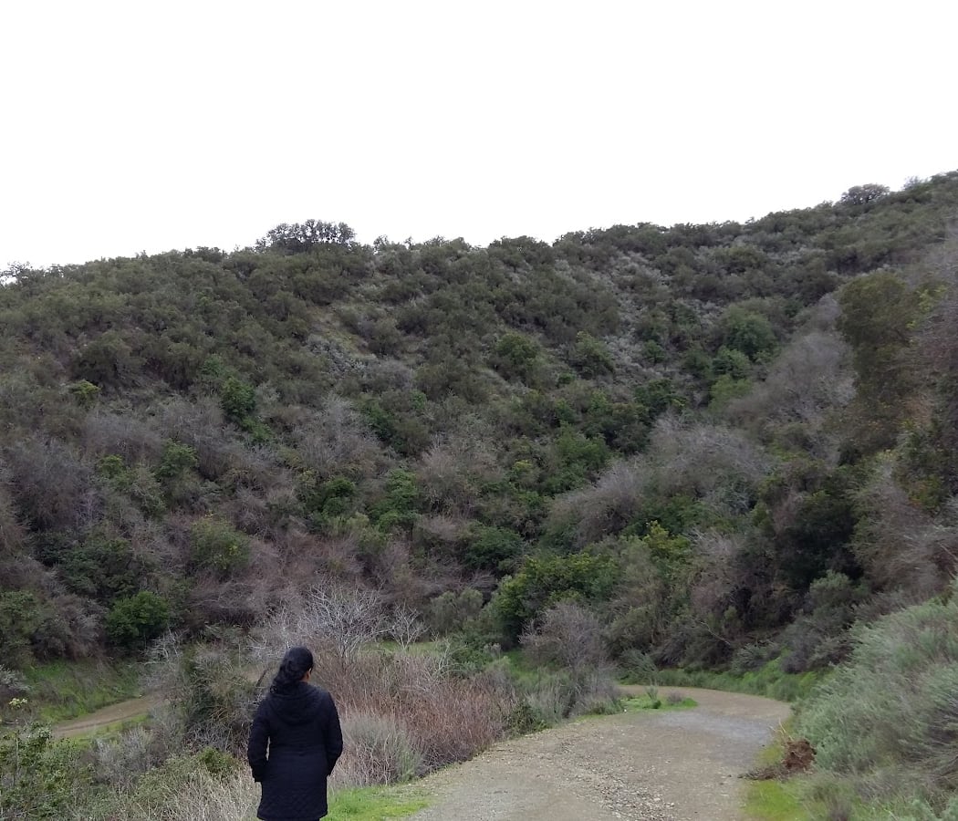 Friends of Stevens Creek Trail 2