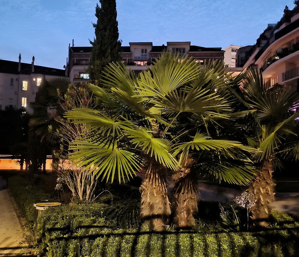 Chasse aux œufs par Le Soleil de la Porte de Montrouge 4