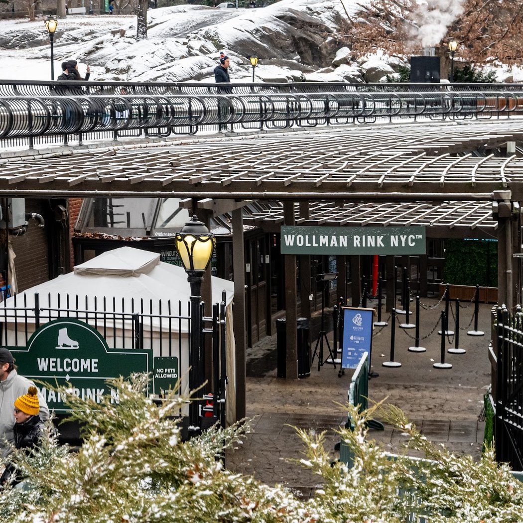 Ice-skating at Wollman Rink 2