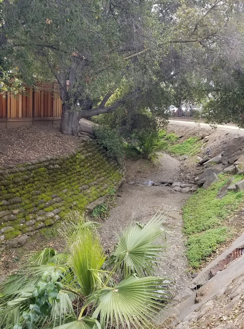 Regnart Creek Trail 2