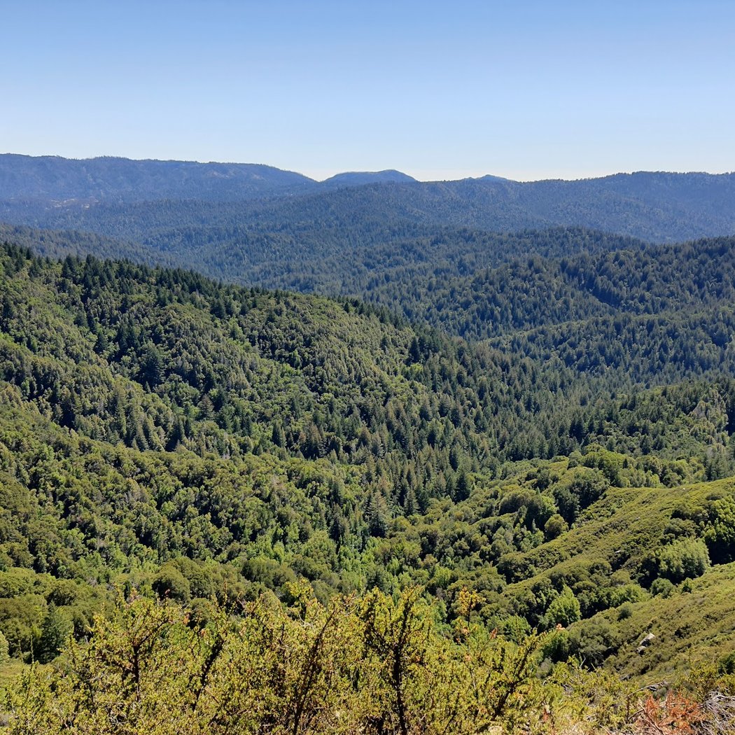 Saratoga Gap Trail 2