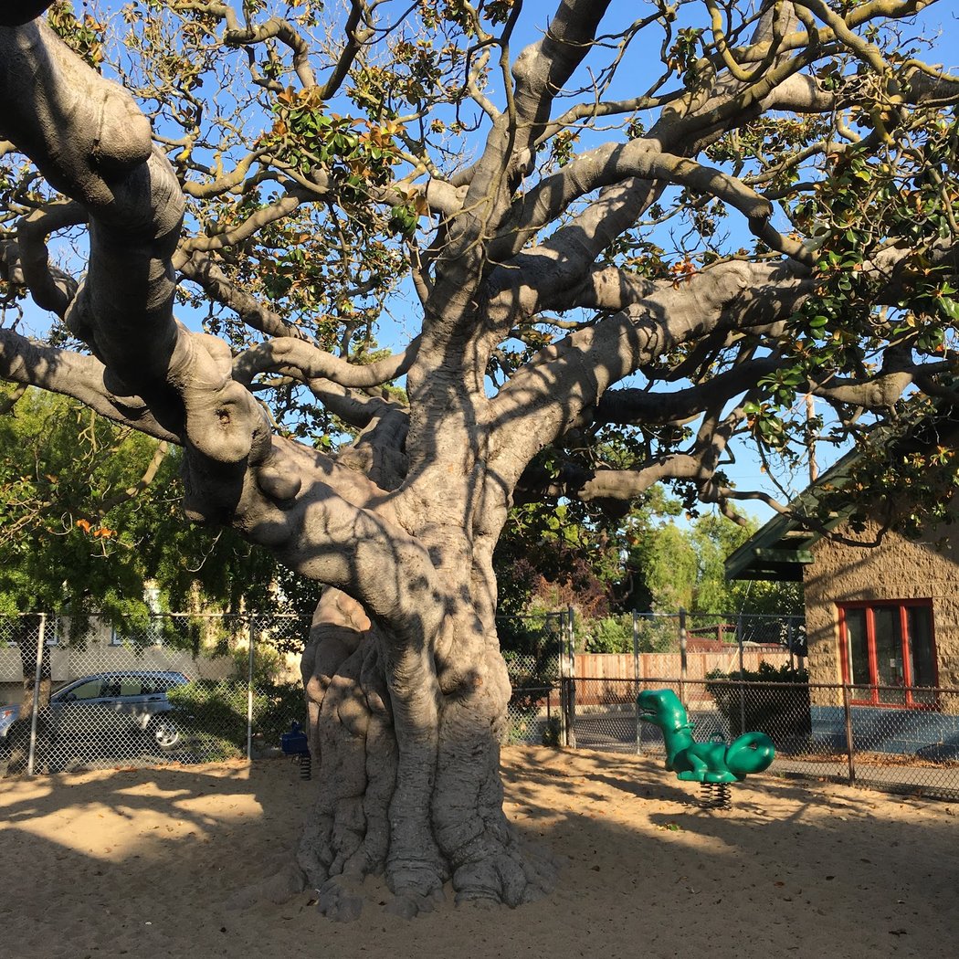 Longfellow Park 1
