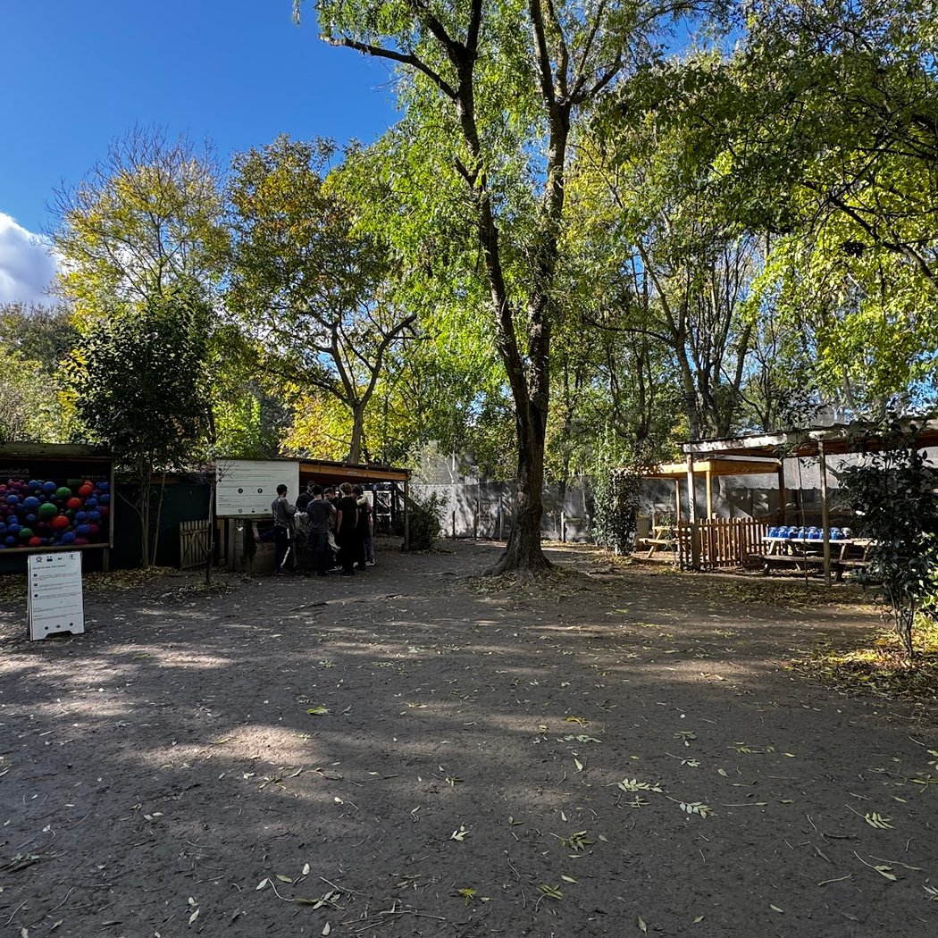 Paintball 75 3