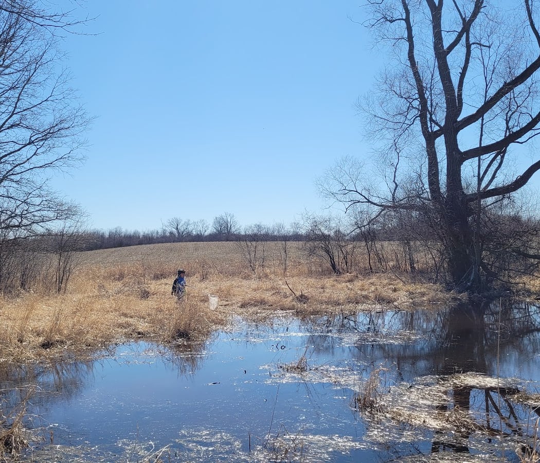 Northfield Woods Preserve 2