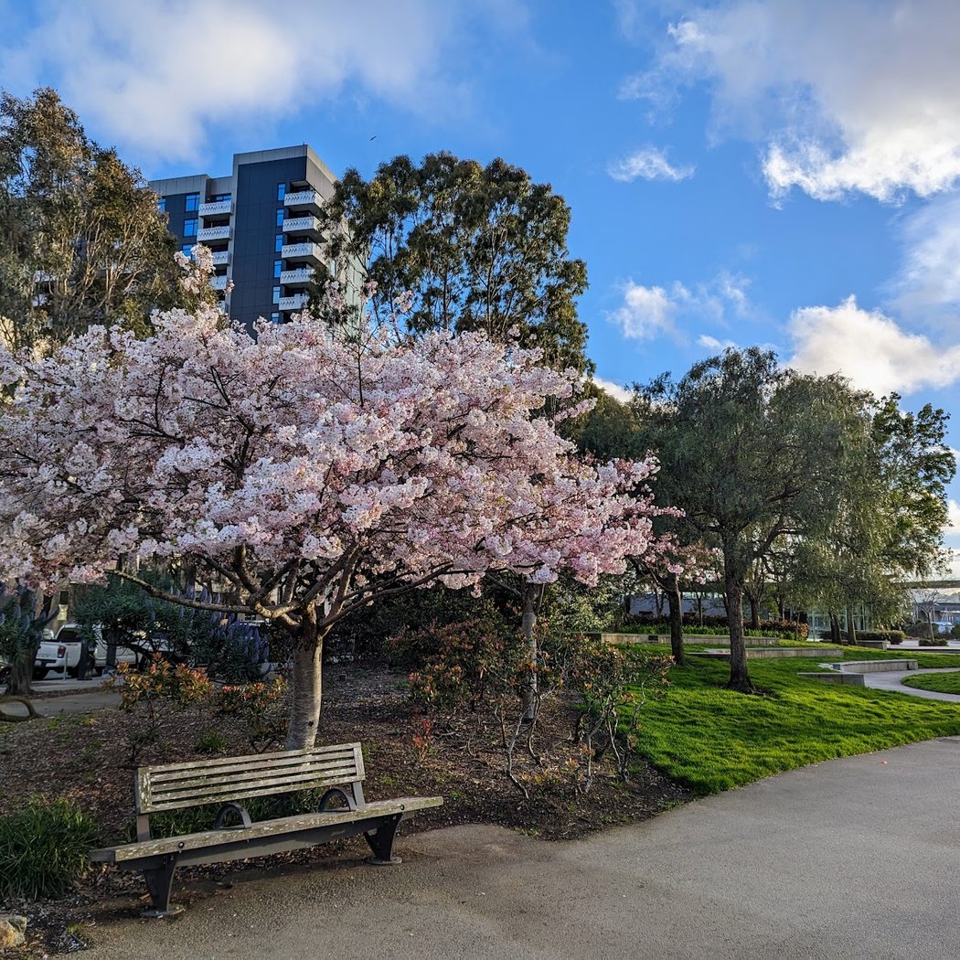 Mission Creek Park North 1