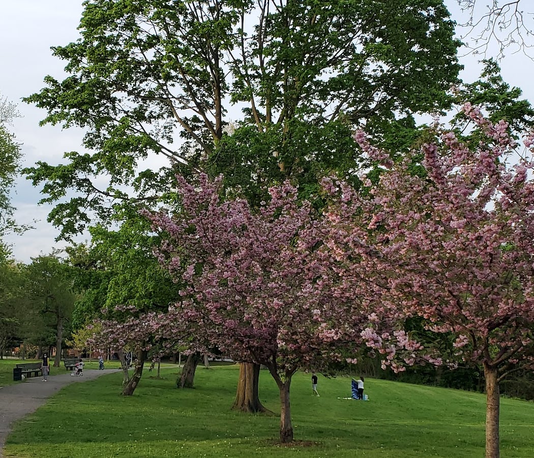 John Golden Park 1