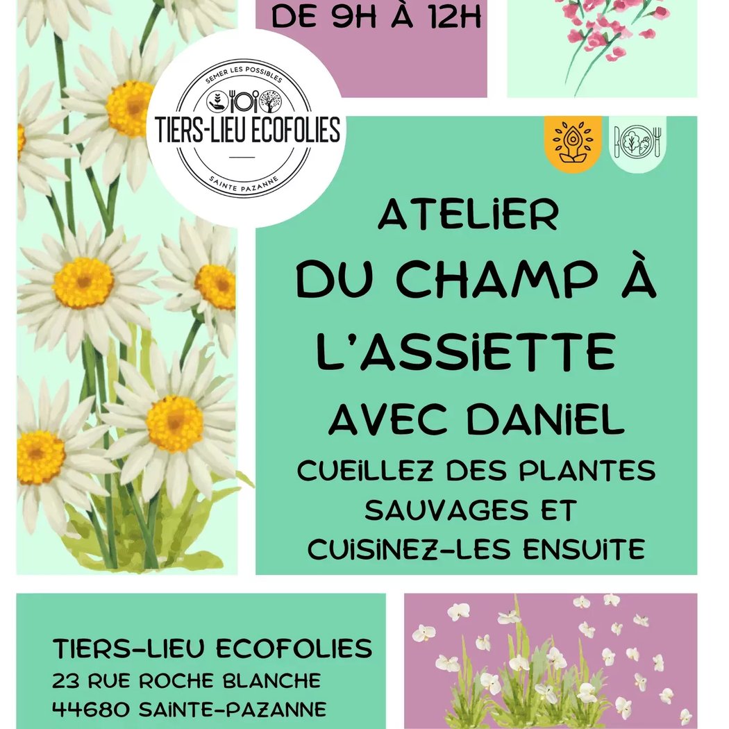Atelier du champ à l'assiette avec Daniel 1
