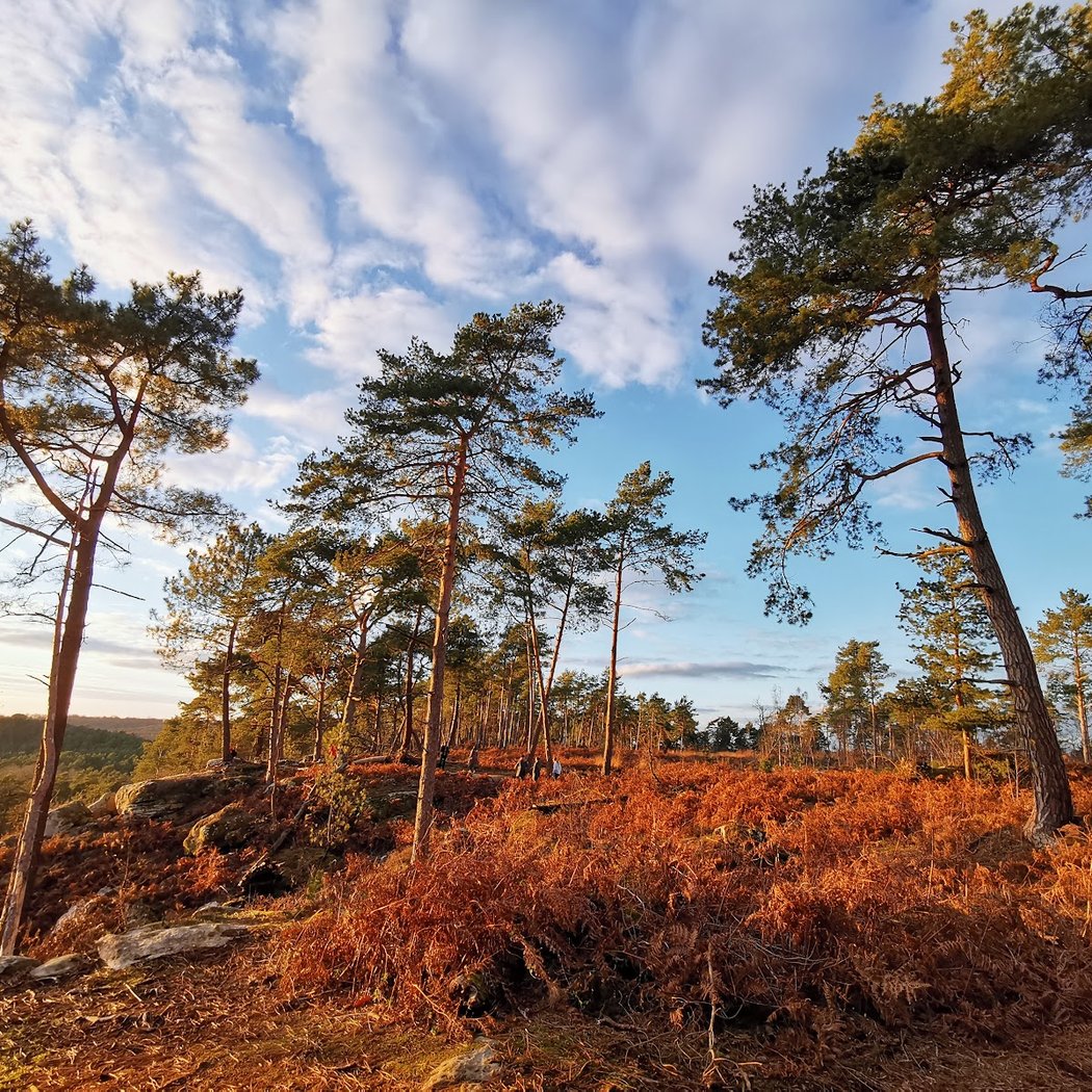 Les mystères de la forêt de Fontainebleau 3