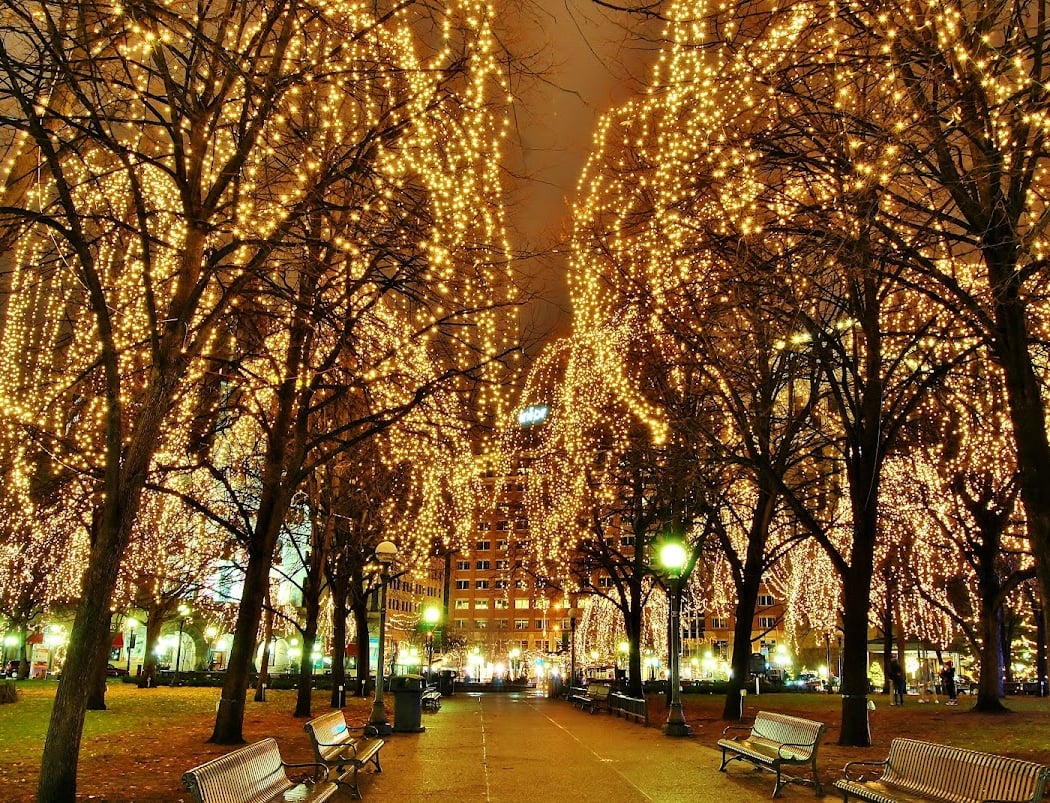 Rice Park 1