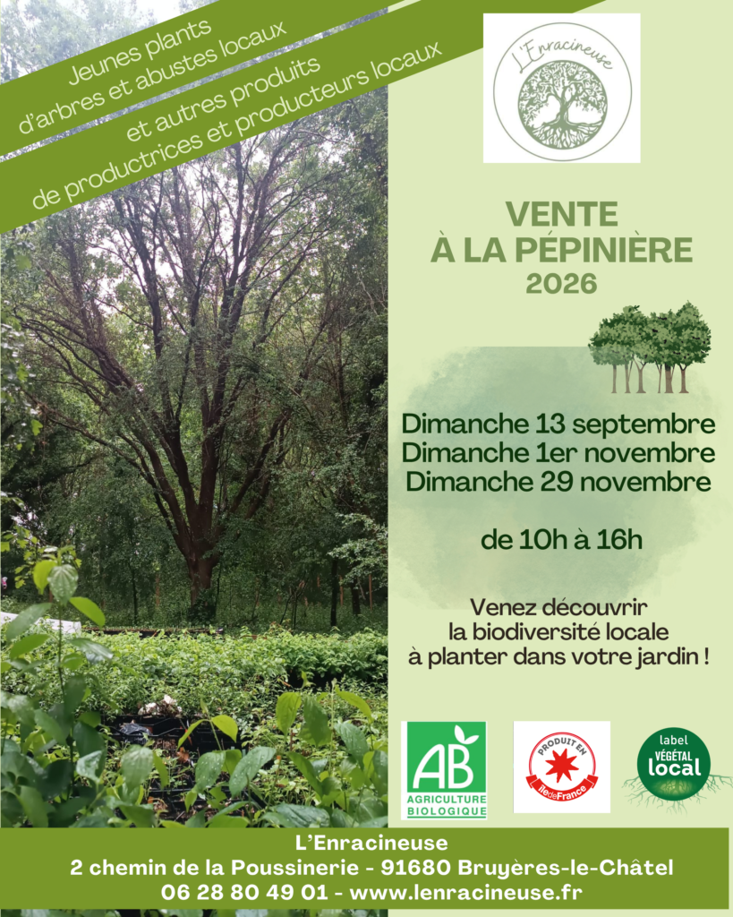 Vente à la pépinière 1