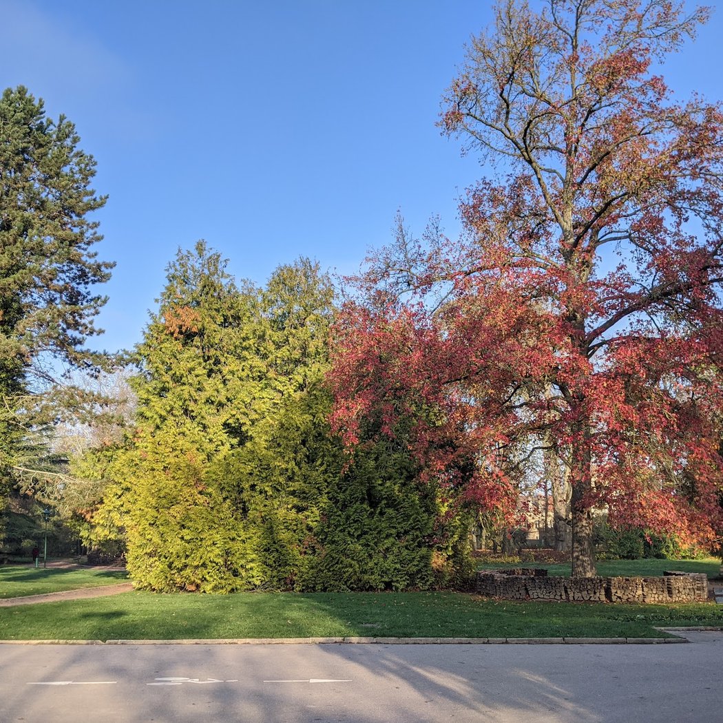 Saint Mary Park of Nancy 3