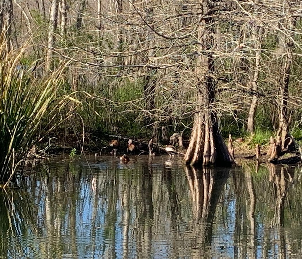 B.A.R.K. Ranger Hike 3