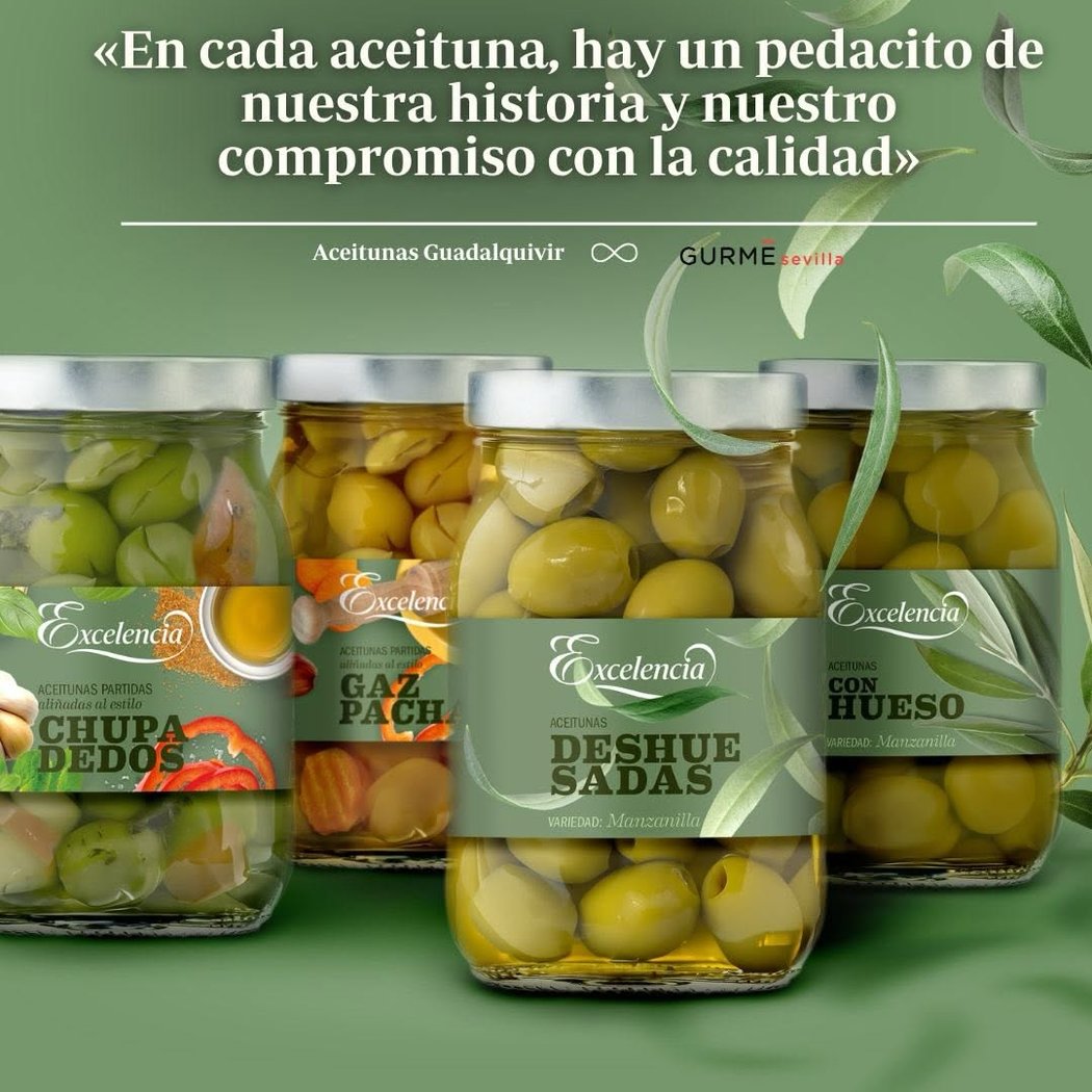 AGOLIVES (Aceitunas Guadalquivir SL) 1