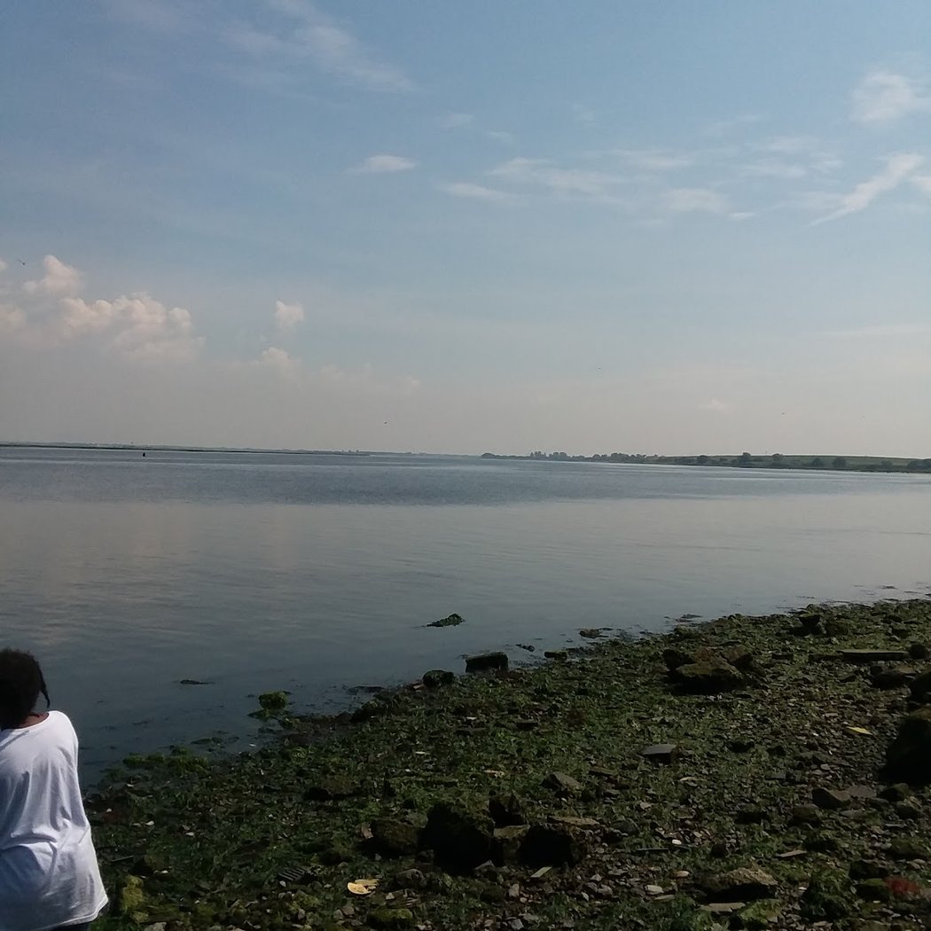Dubos Point Wildlife Sanctuary 3