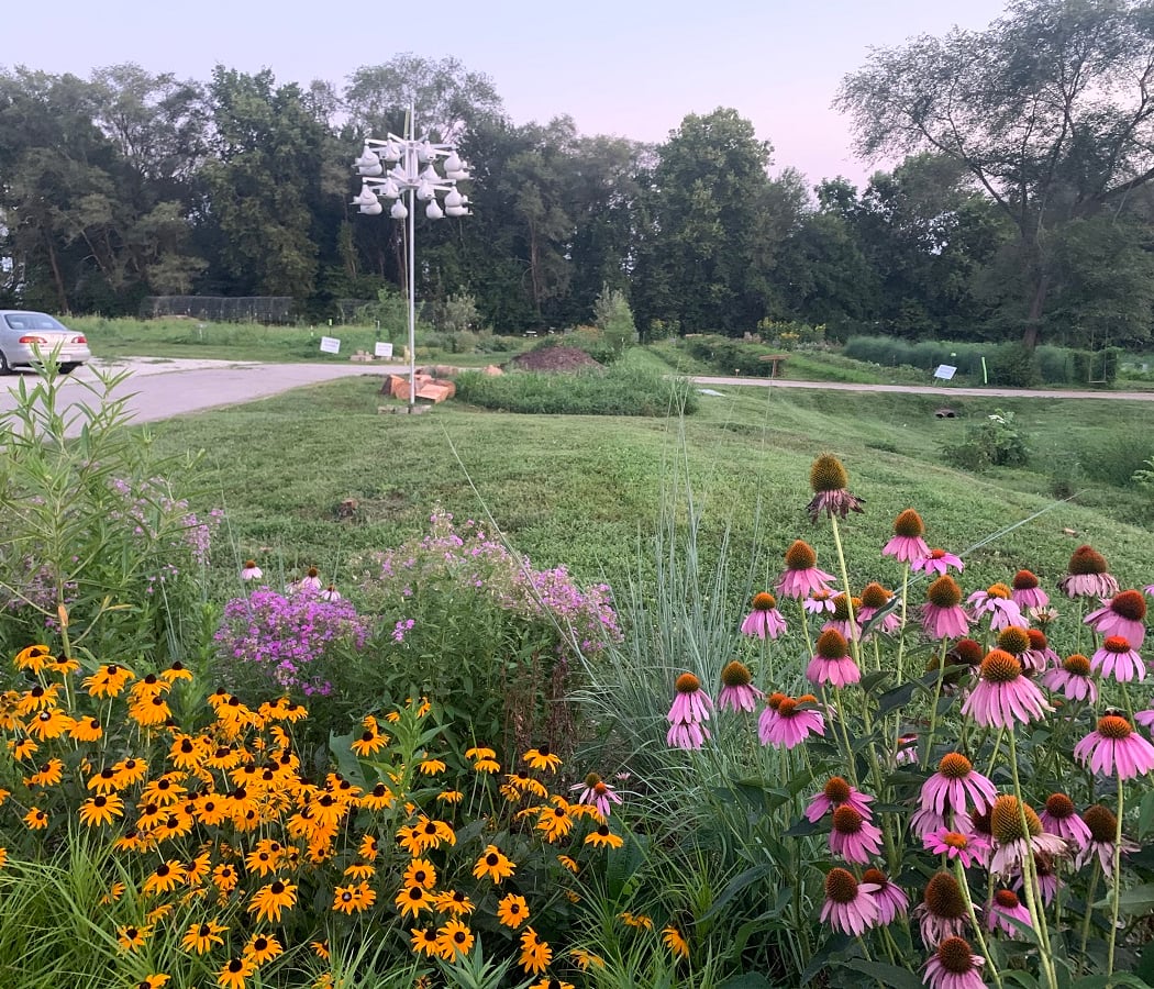 Native Plant Work and Learn Day 3