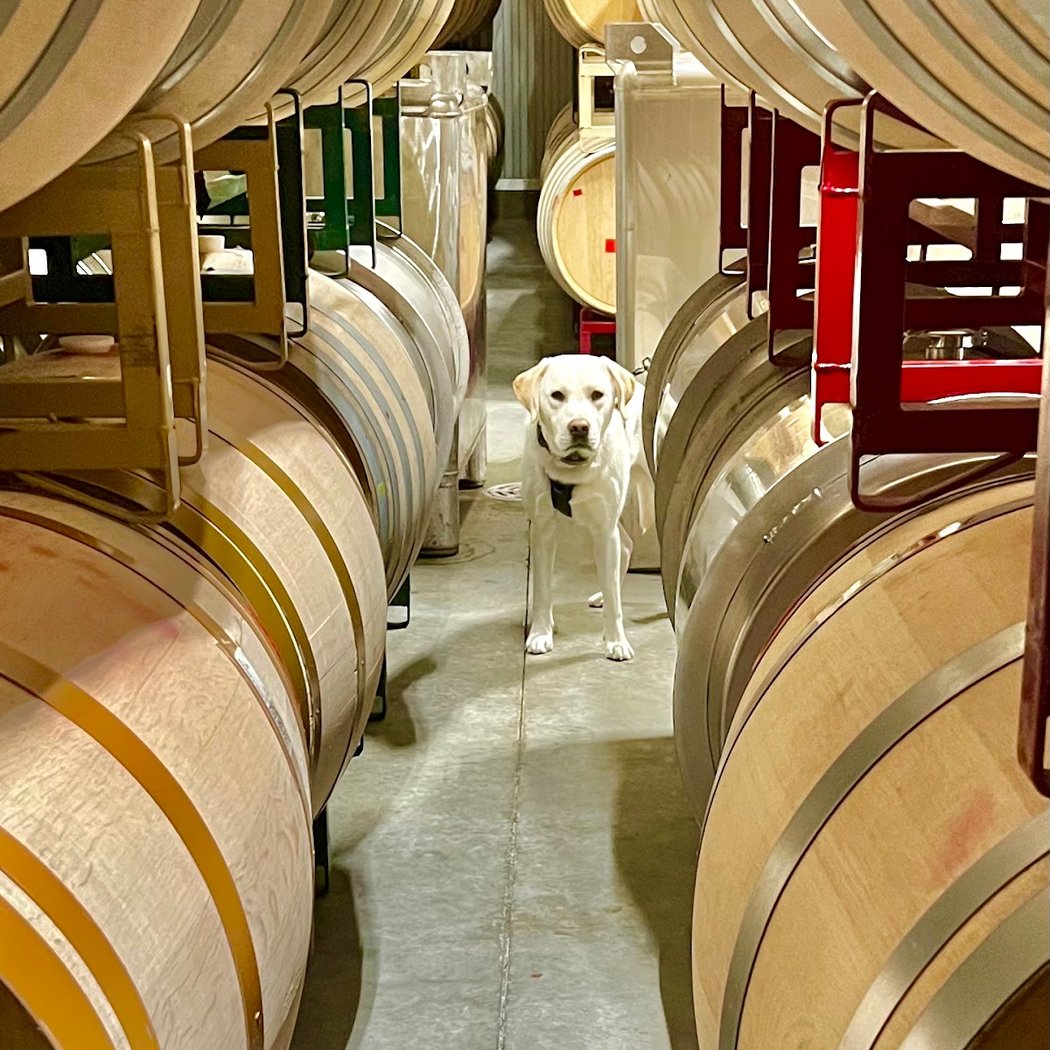 Domaine de la Rivière 3
