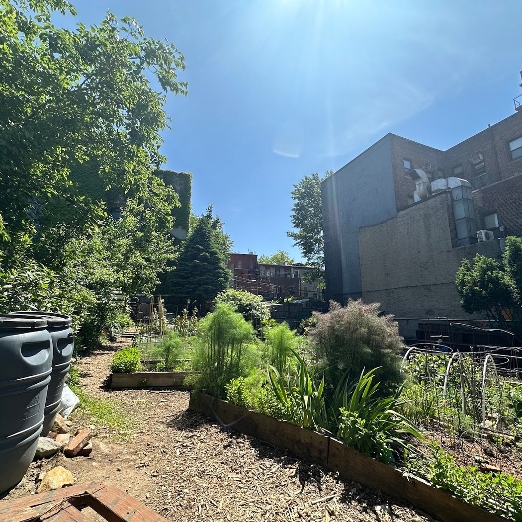Brooklyn Bears/Carlton Avenue Garden 2