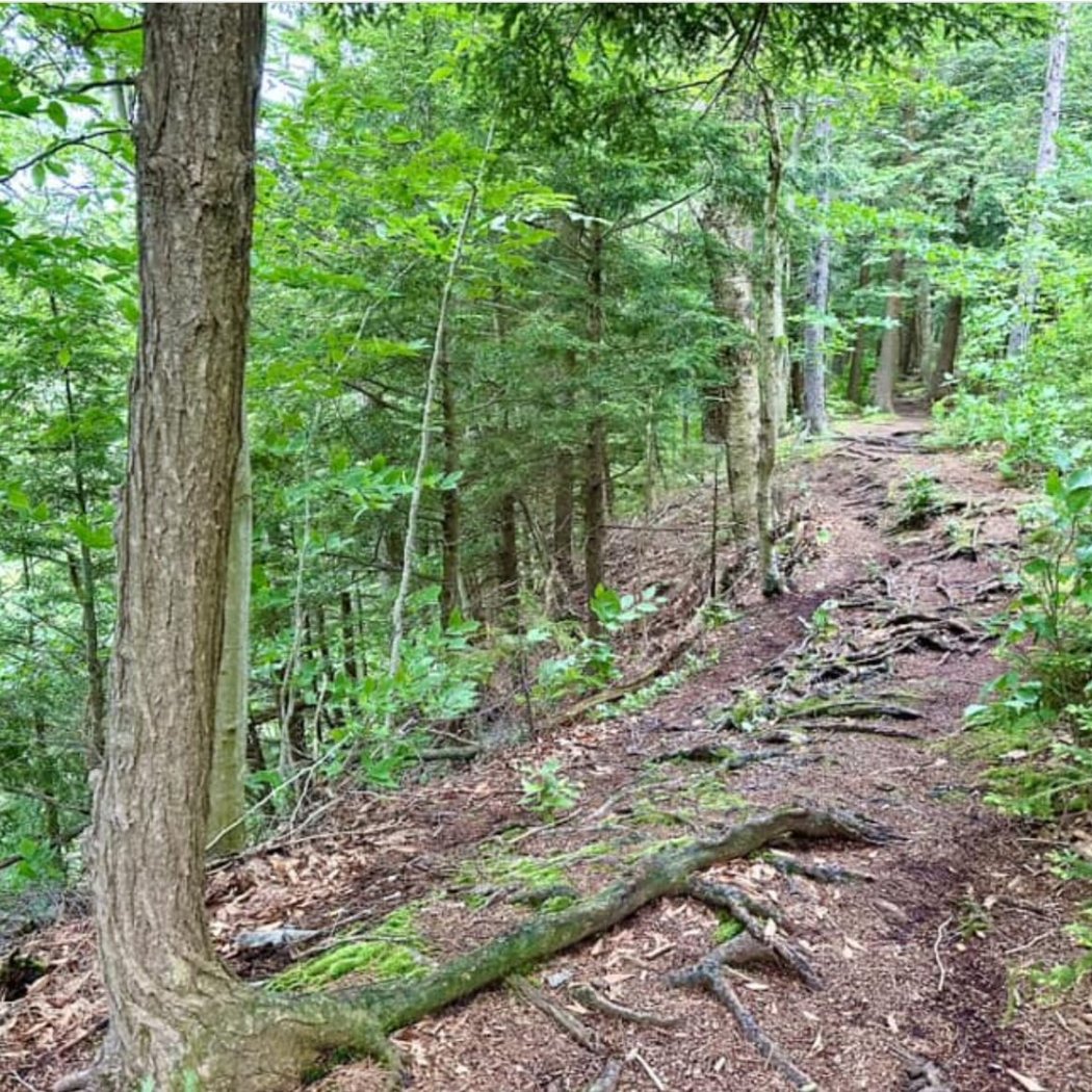 Pixley Falls State Park 2