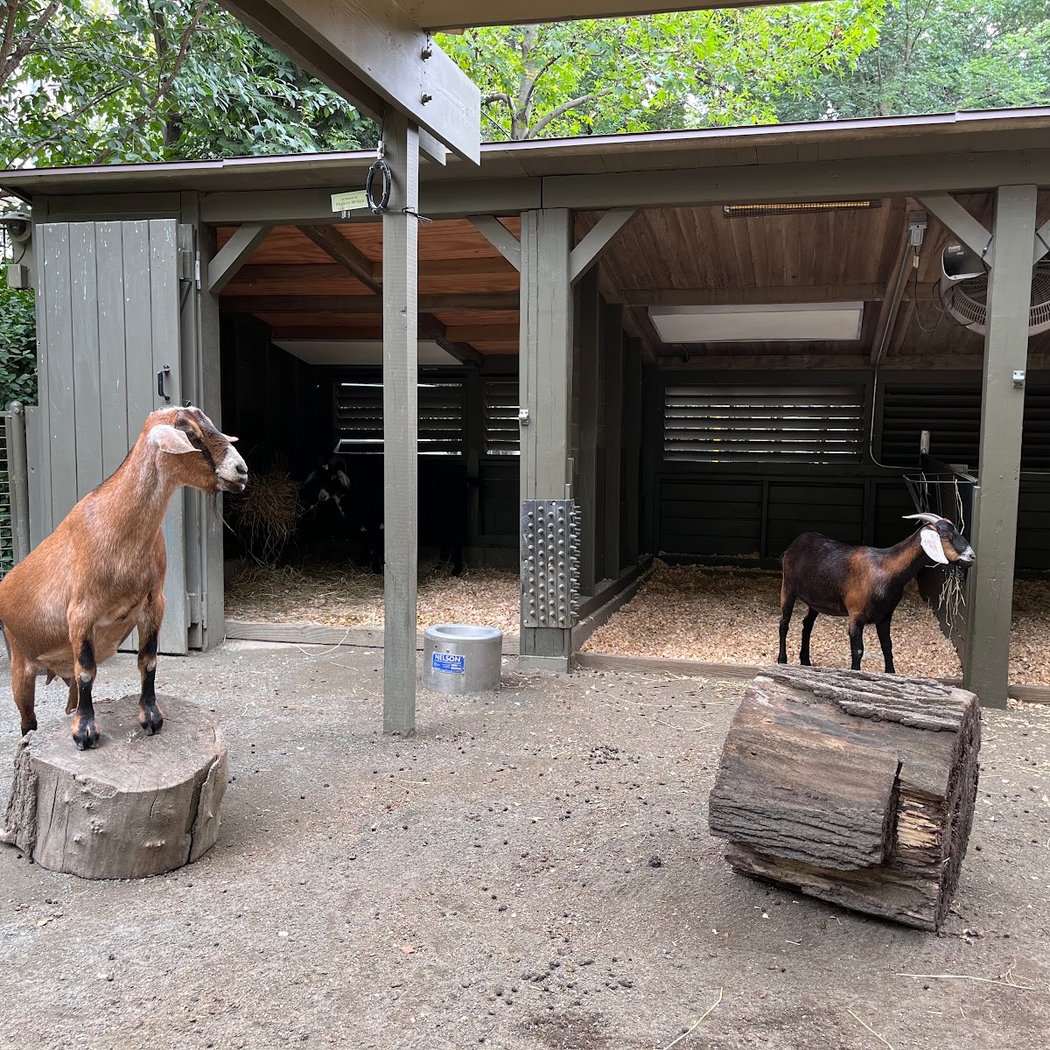 Tisch Children's Zoo 1