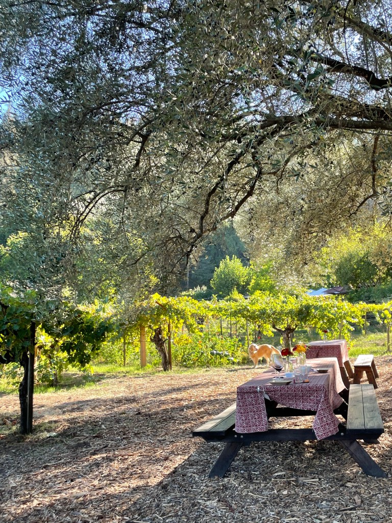 Napa Valley 2
