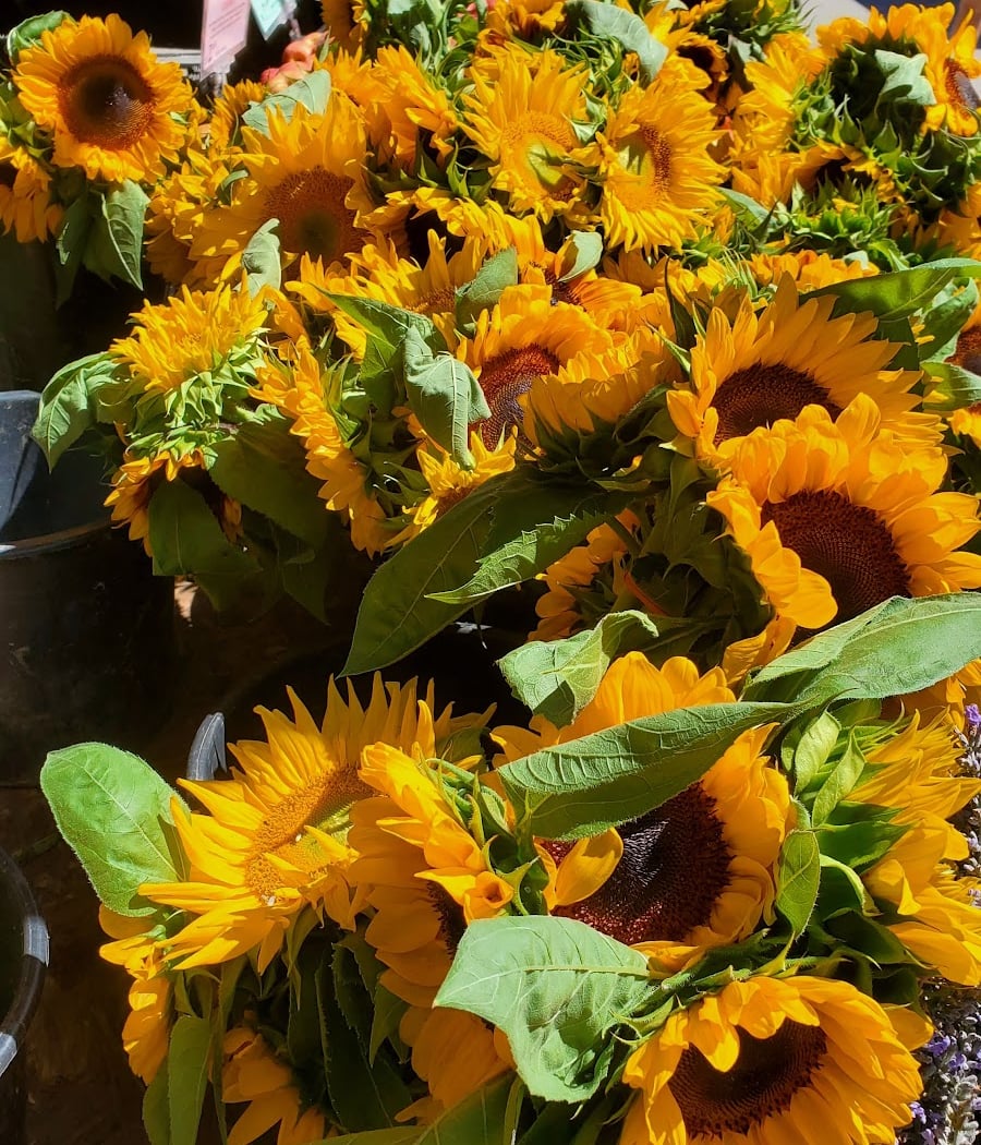Down to Earth Park Slope Farmers Market 1