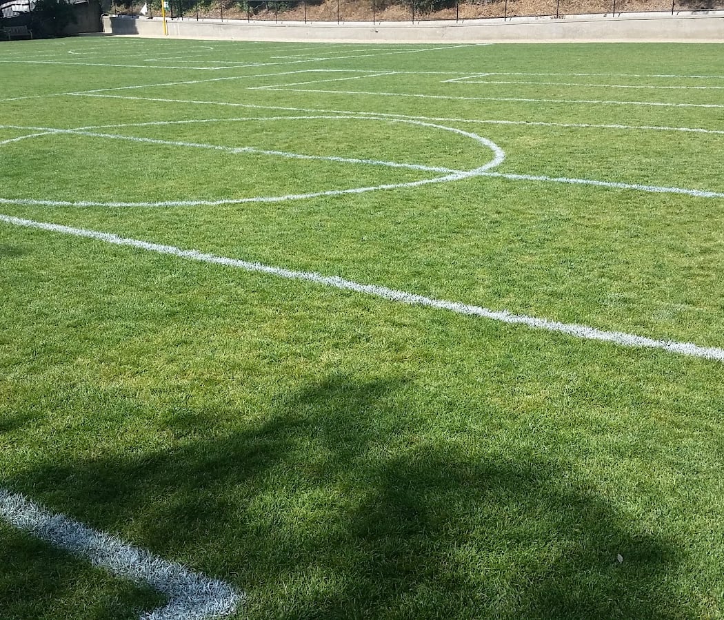 Hampton Field 2