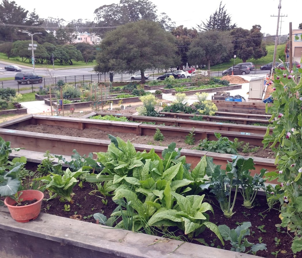Sisterhood Gardens 2