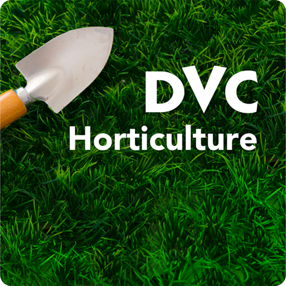 DVC Horticulture Plant Sale 1
