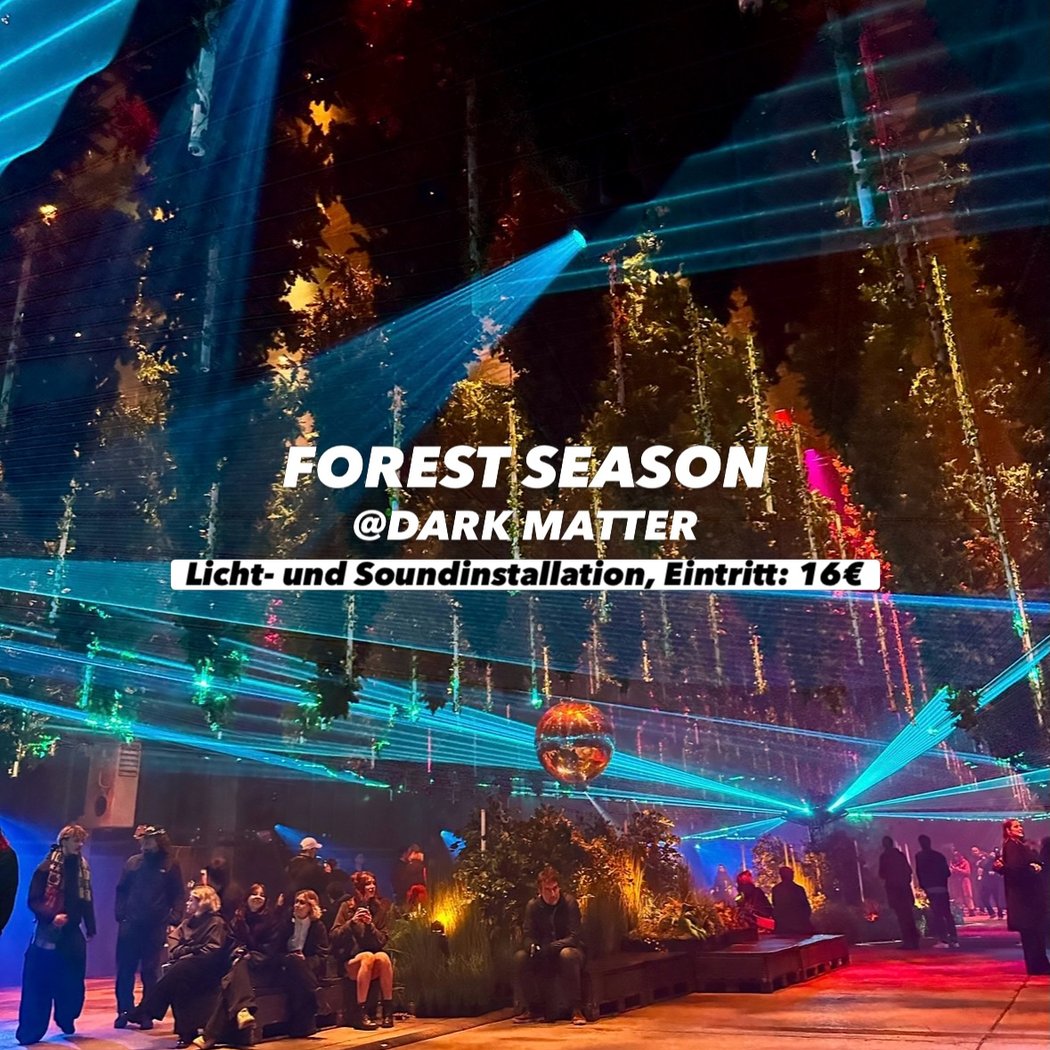 FOREST SEASONS 3