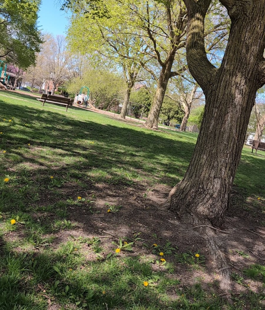 Independence Park 1